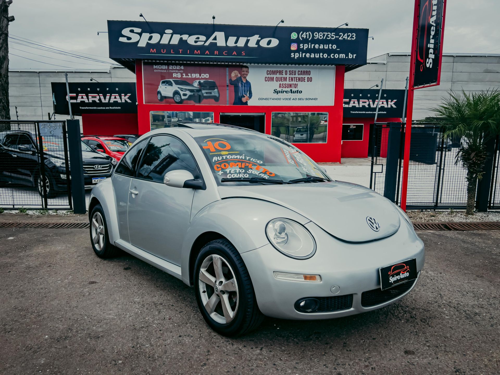 beetle