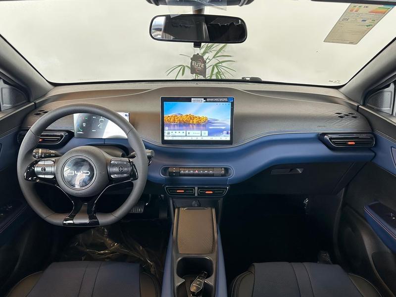 BYD Dolphin Mini 38 Kw Elétrico Gl - foto 12