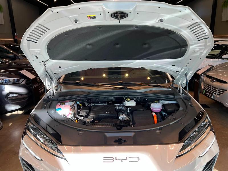 BYD Song Plus Gs Dm - foto 18