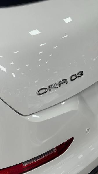 GWM Ora 03 Skin - foto 14