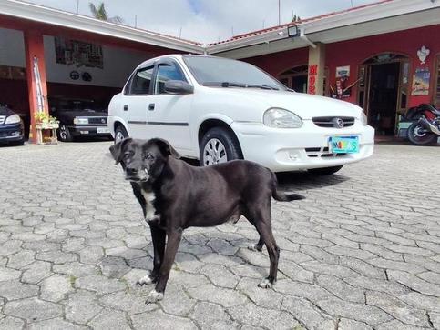 CHEVROLET CLASSIC LIFE