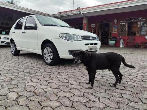 FIAT PALIO FIRE ECONOM