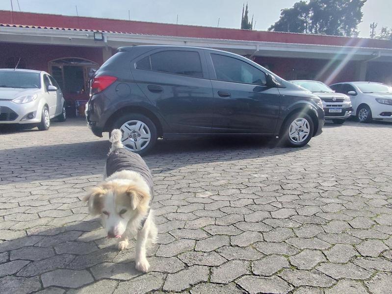 Chevrolet Onix 10mt Joye - foto 18