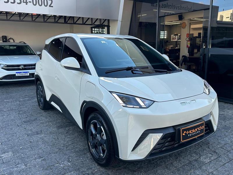 BYD Dolphin Mini Gs Ev - foto 3