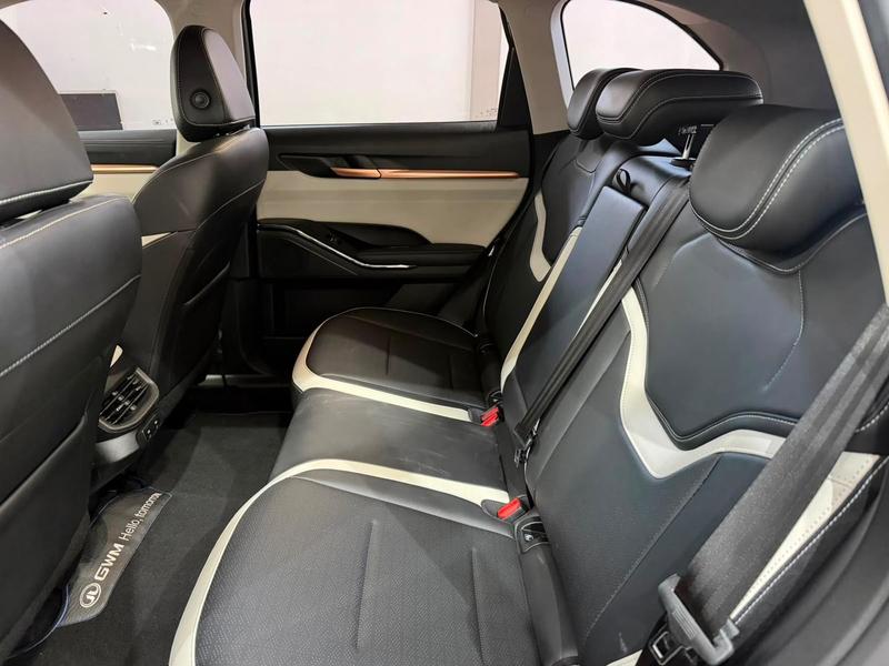 GWM Haval H6 PHEV 19 - foto 14
