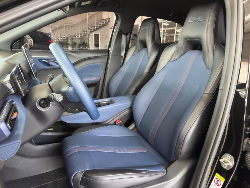 BYD Dolphin Mini Gs (elétrico) - foto 20