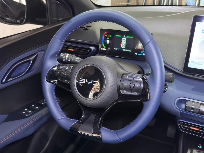BYD Dolphin Mini Gs (elétrico) - foto 14