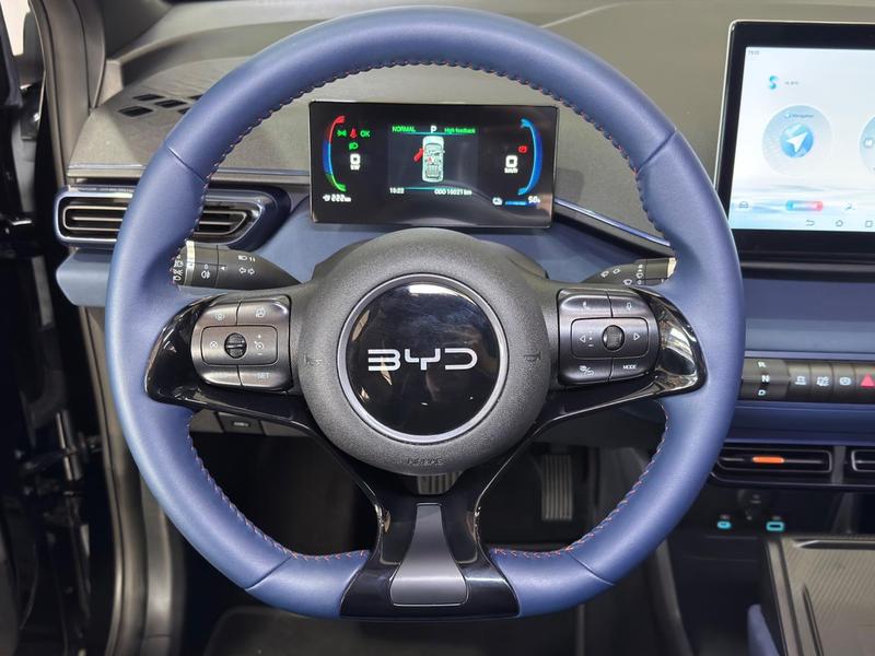 BYD Dolphin Mini Gs (elétrico) - foto 15