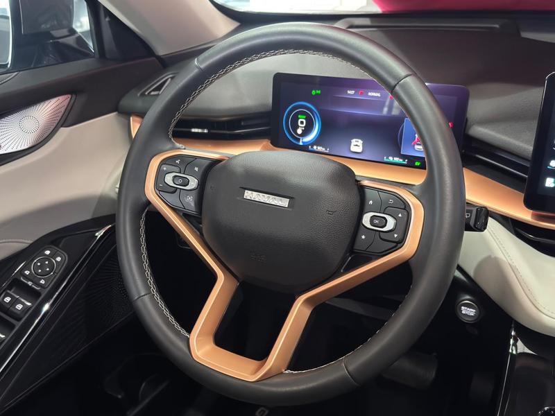 GWM Haval H6 PHEV 19 - foto 14