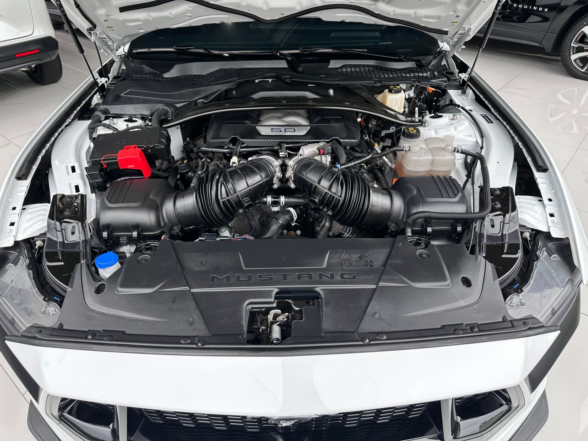 FORD MUSTANG GT 5.0 V8 PERFORMANCE