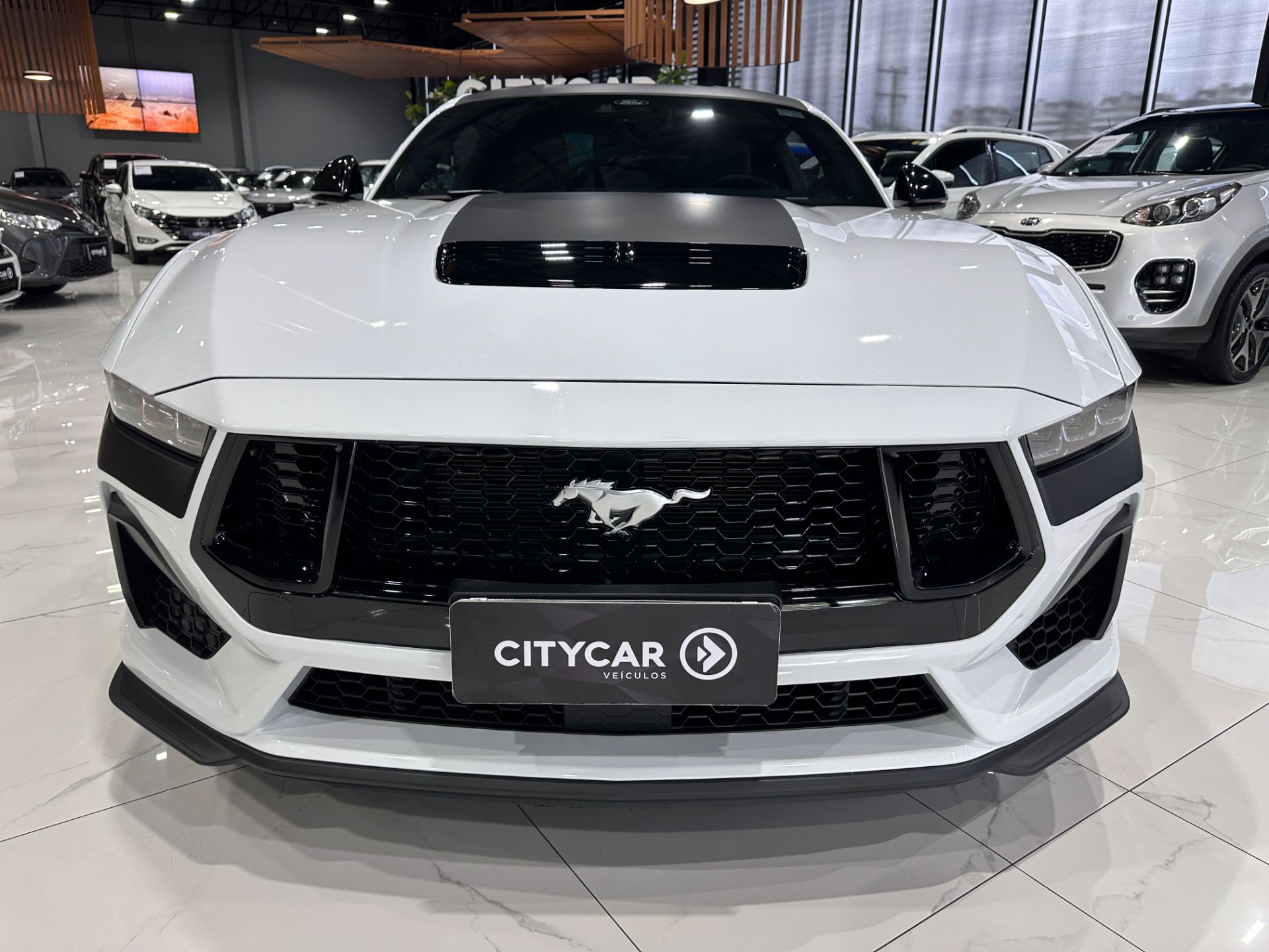 FORD MUSTANG GT 5.0 V8 PERFORMANCE