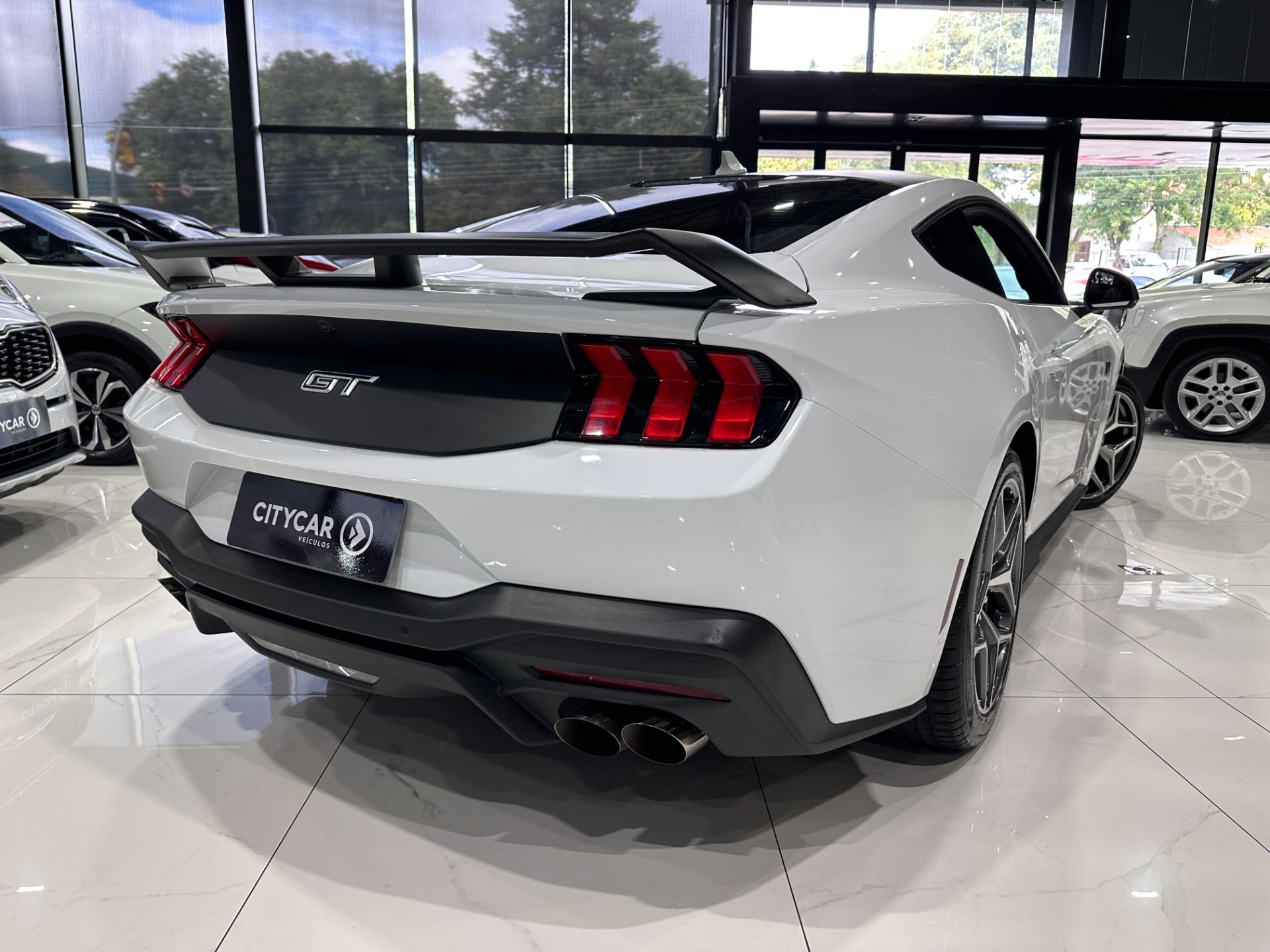 FORD MUSTANG GT 5.0 V8 PERFORMANCE