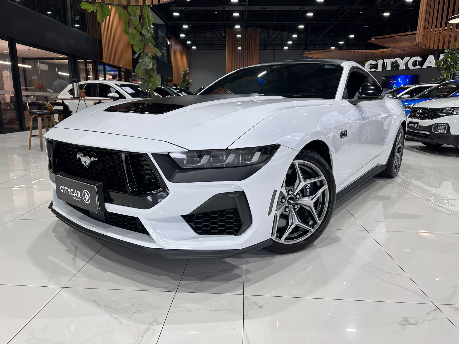 FORD MUSTANG GT 5.0 V8 PERFORMANCE