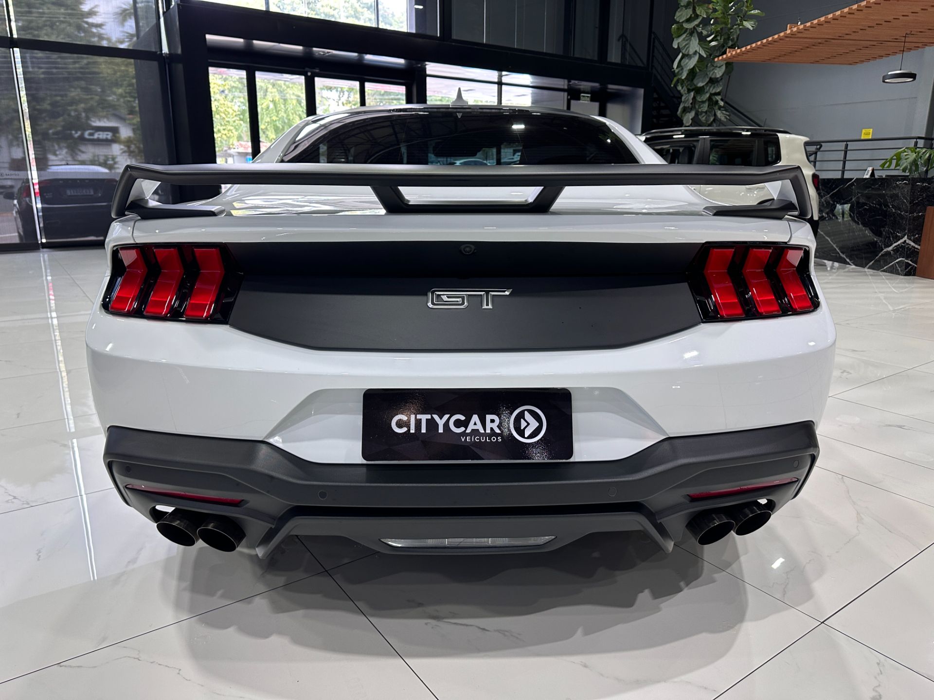 FORD MUSTANG GT 5.0 V8 PERFORMANCE