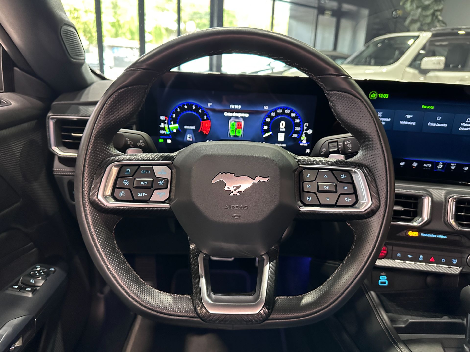 FORD MUSTANG GT 5.0 V8 PERFORMANCE