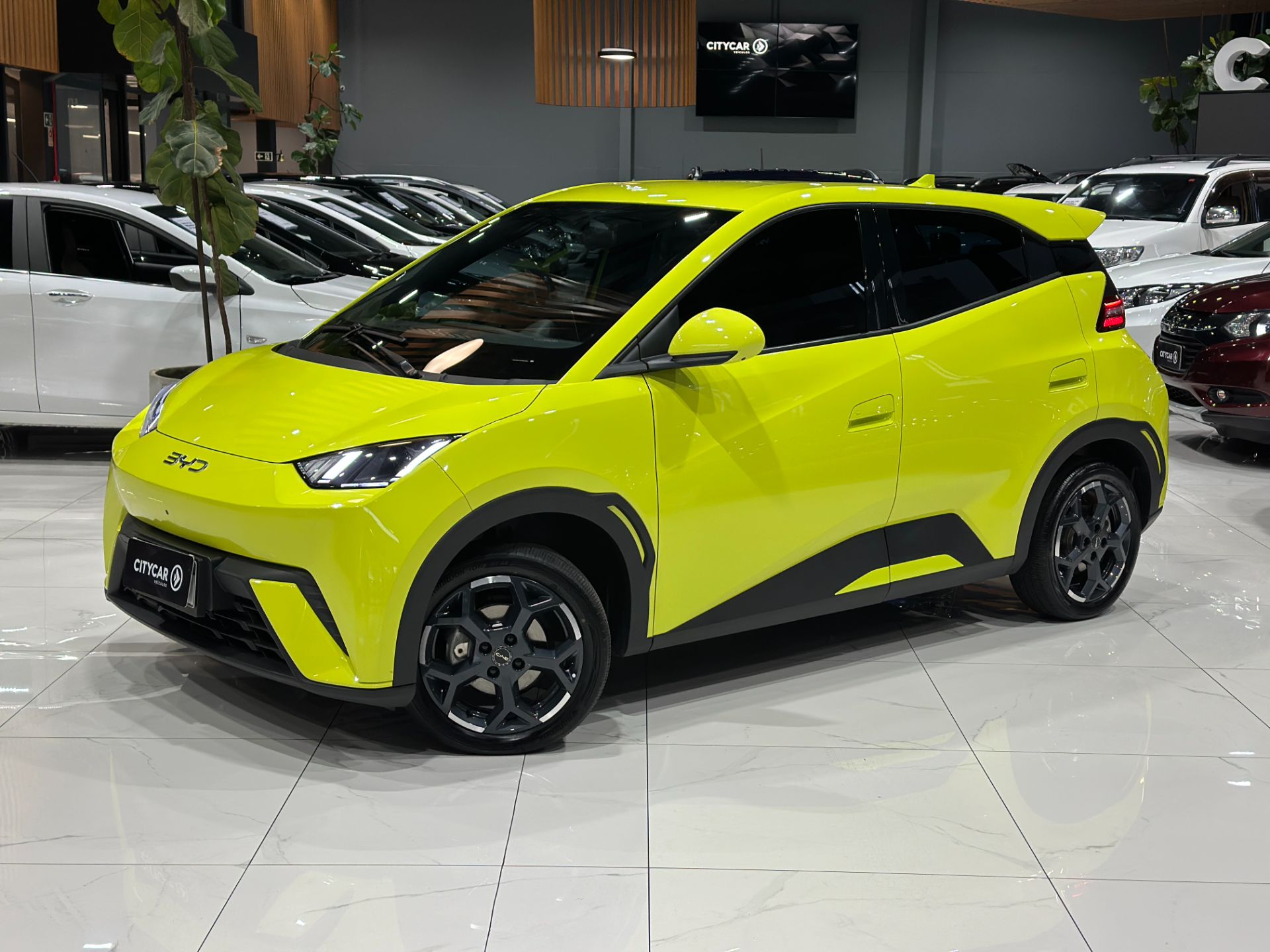 BYD DOLPHIN MINI GS 5 EV