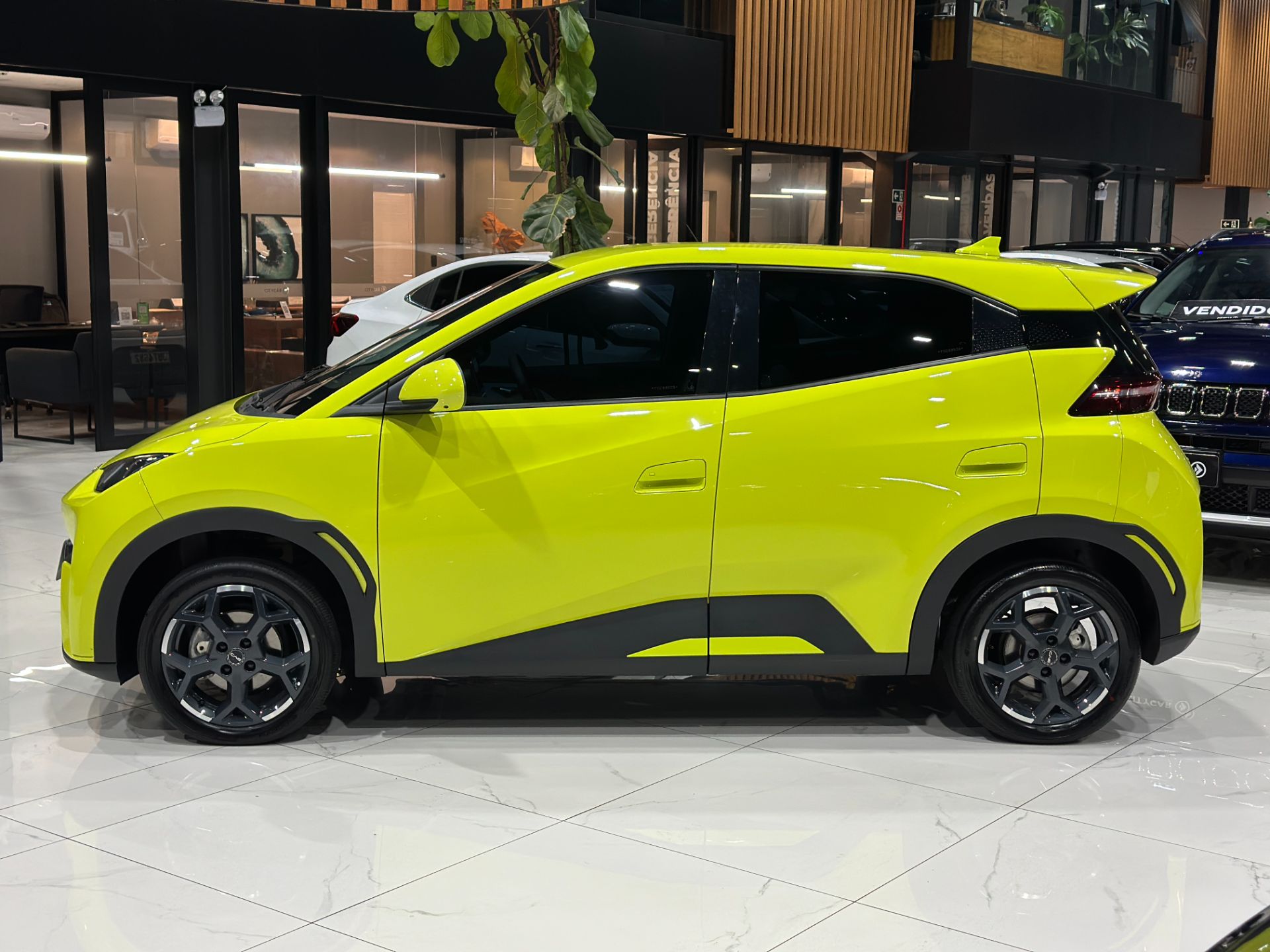 BYD DOLPHIN MINI GS 5 EV