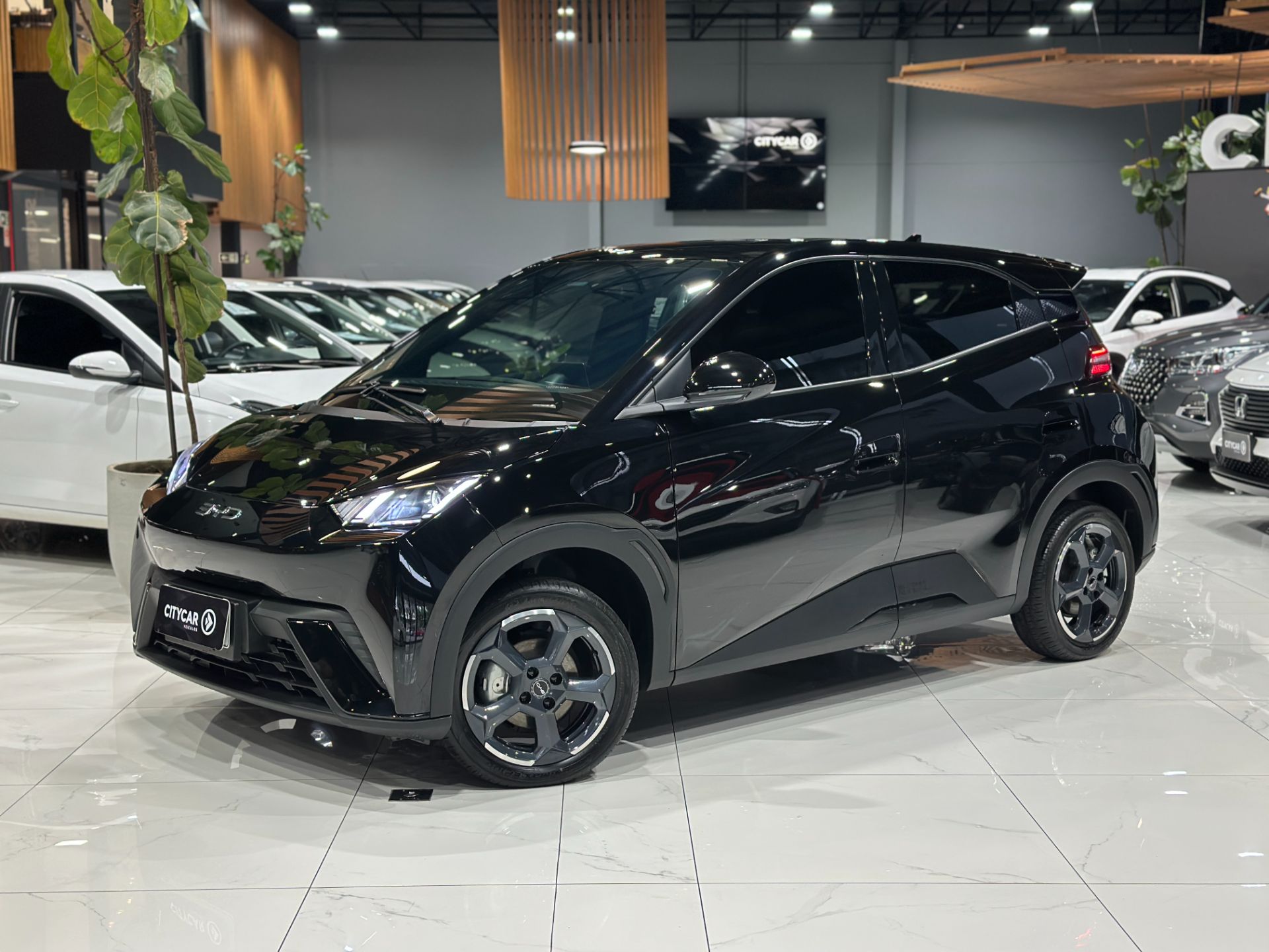 BYD DOLPHIN MINI GS