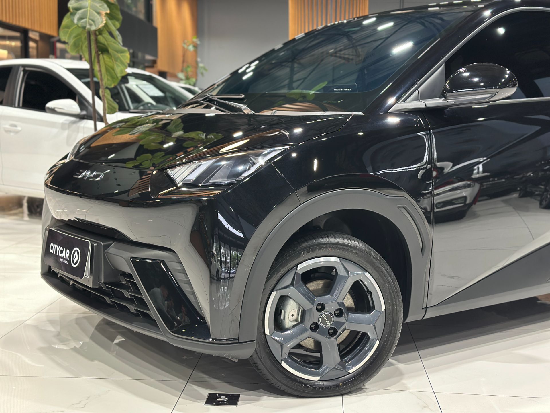 BYD DOLPHIN MINI GS