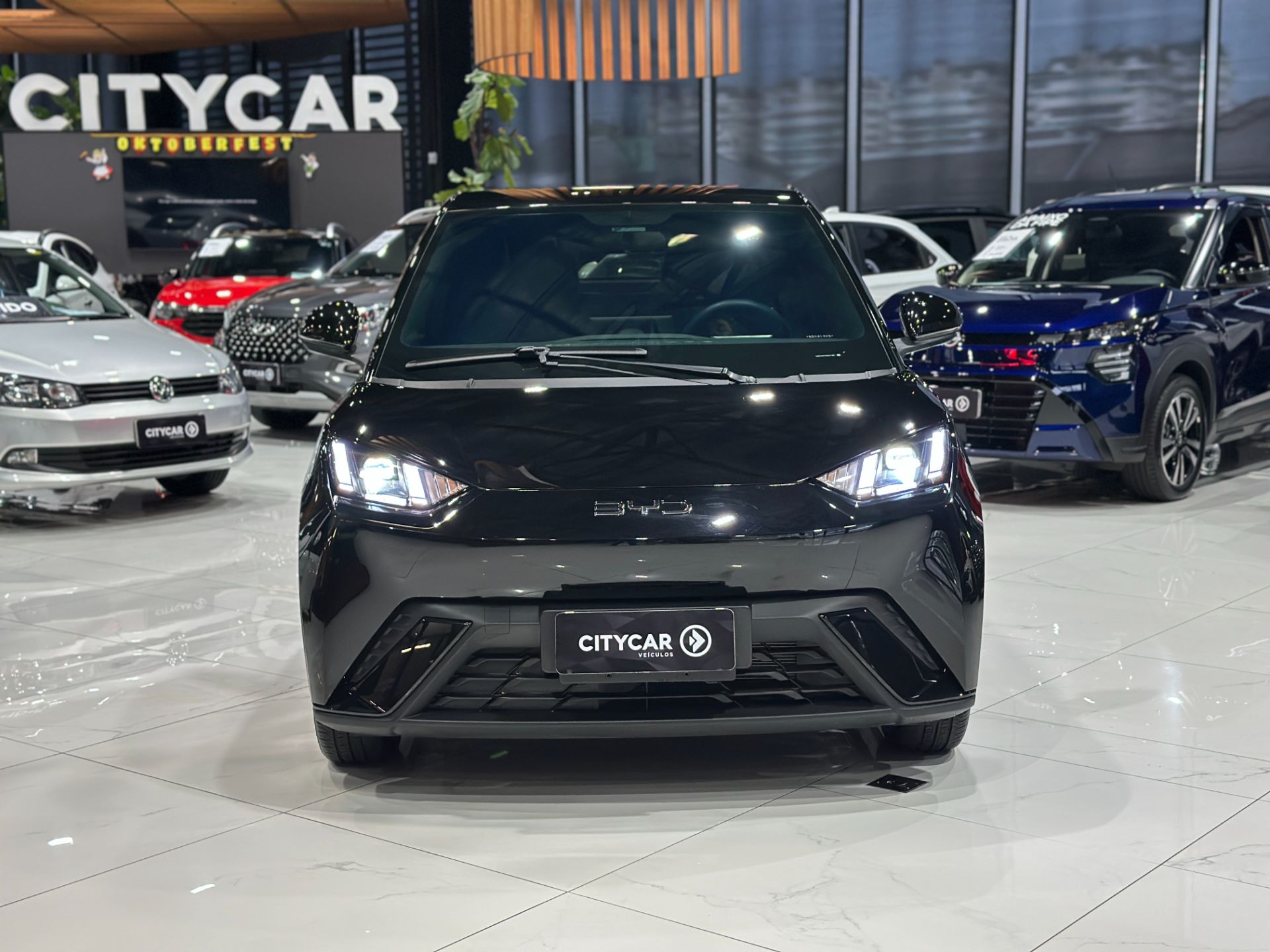 BYD DOLPHIN MINI GS