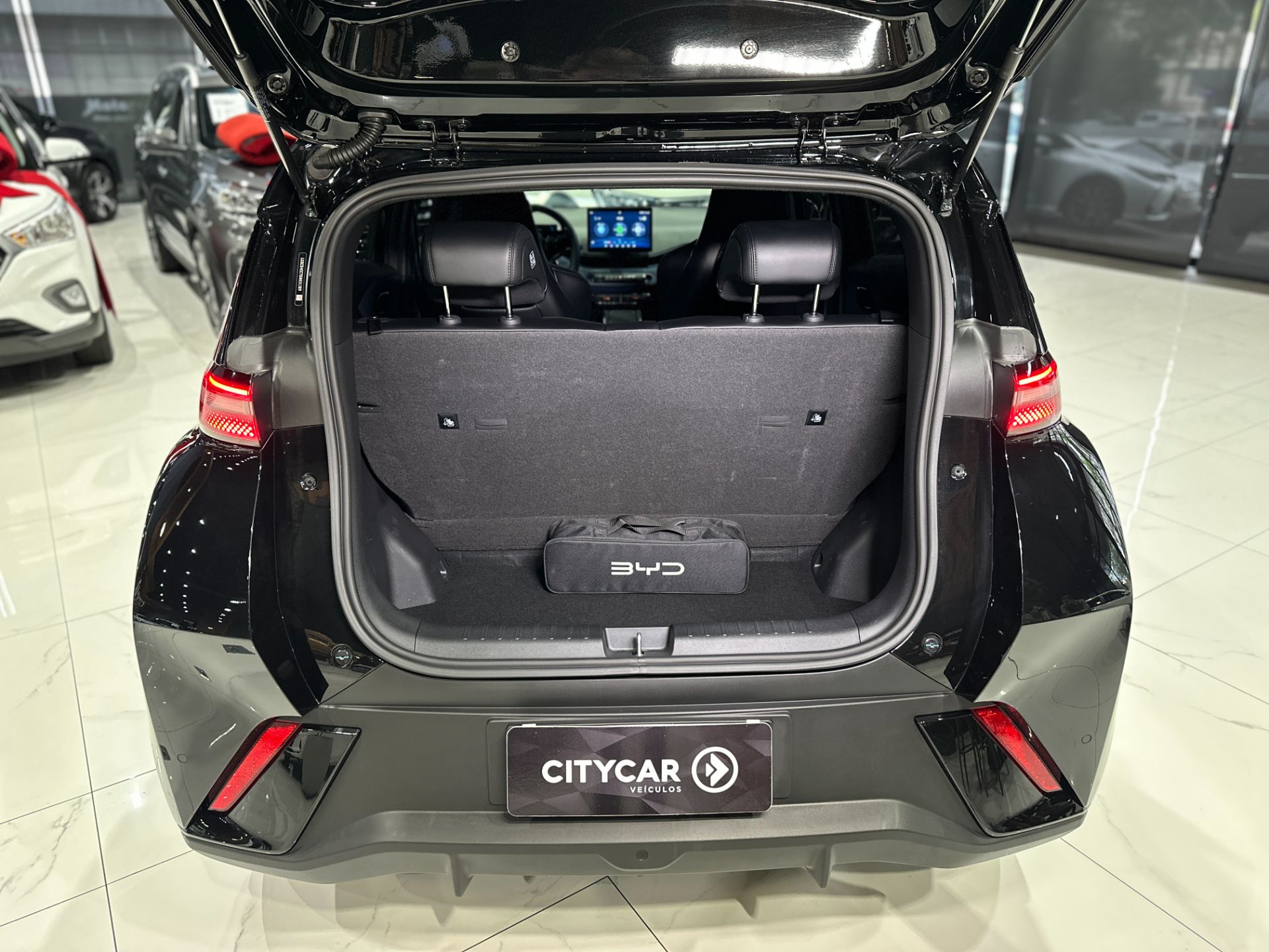 BYD DOLPHIN MINI GS