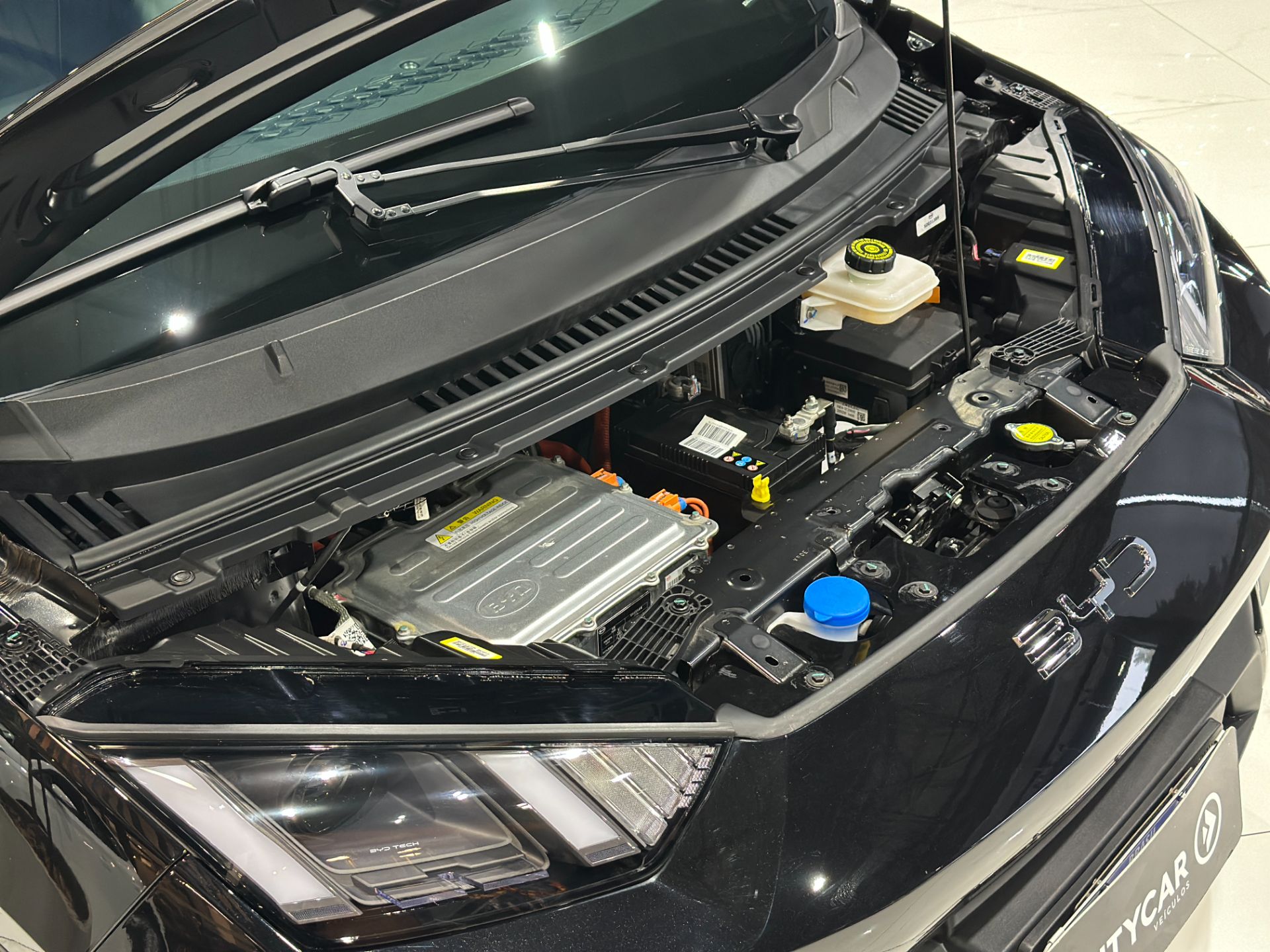 BYD DOLPHIN MINI GS