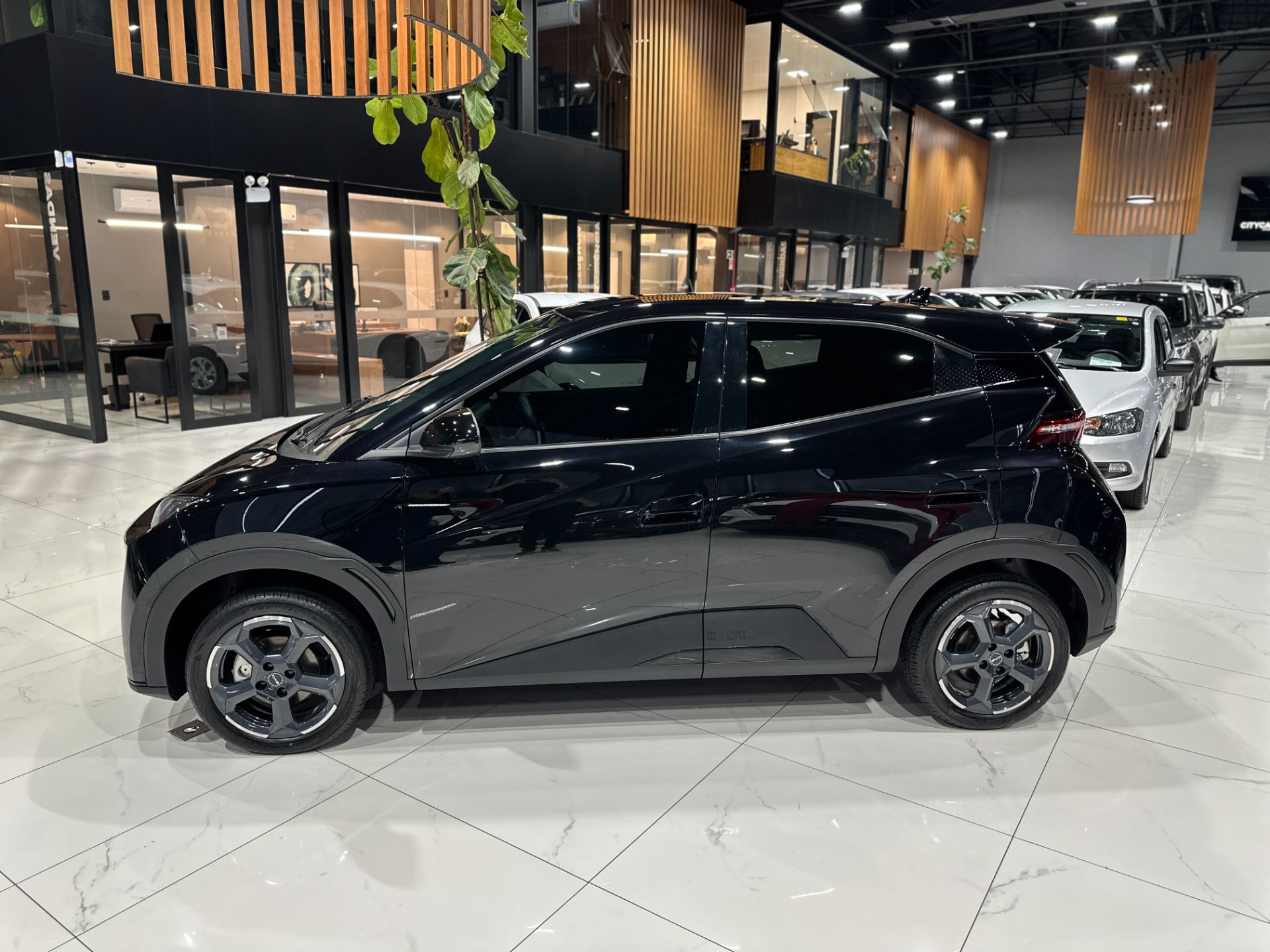 BYD DOLPHIN MINI GS