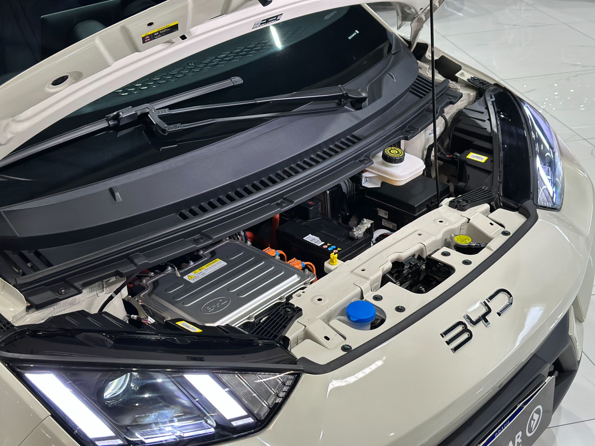 BYD DOLPHIN MINI GS 5 LUGARES