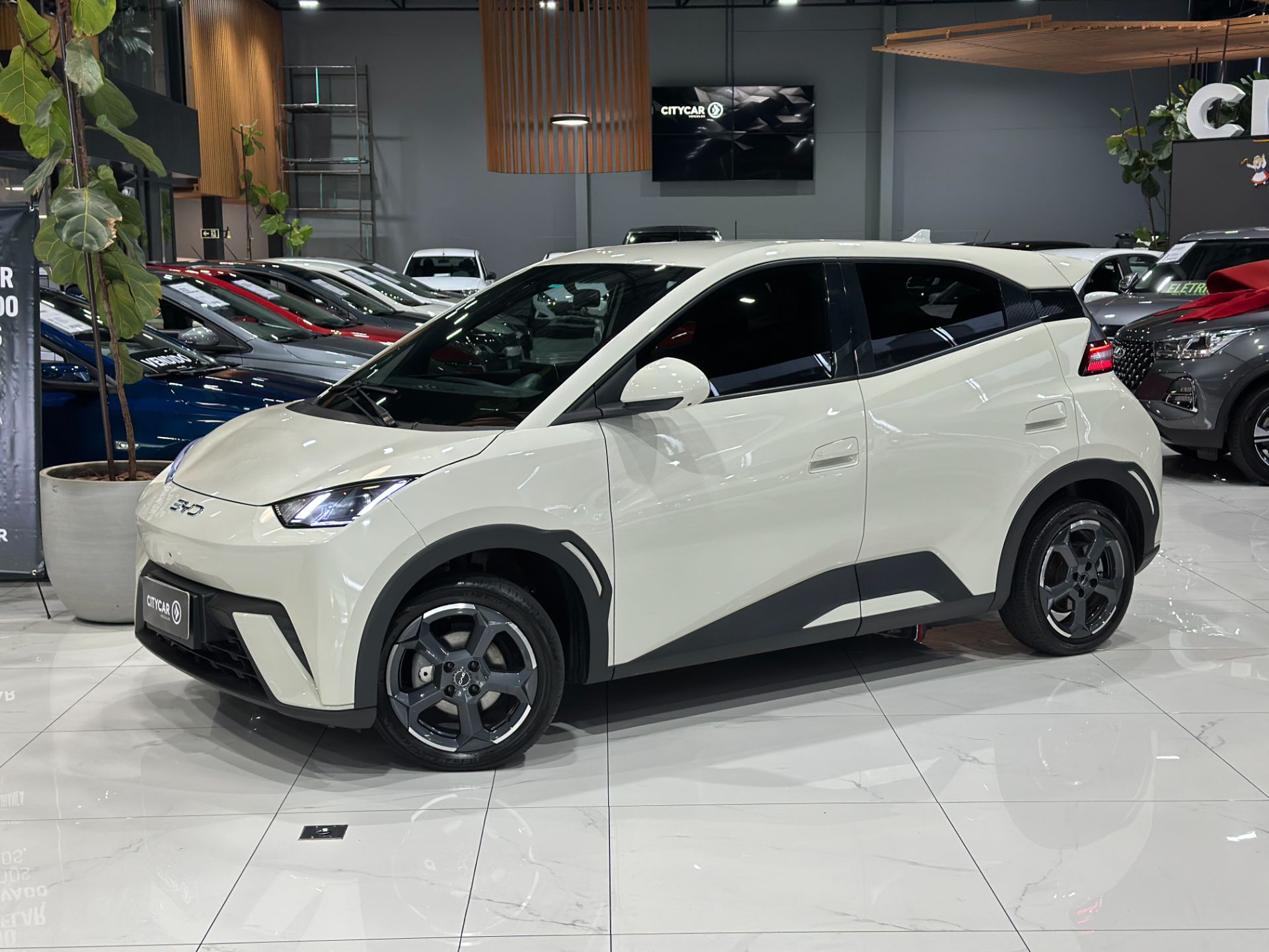BYD DOLPHIN MINI GS 5 LUGARES