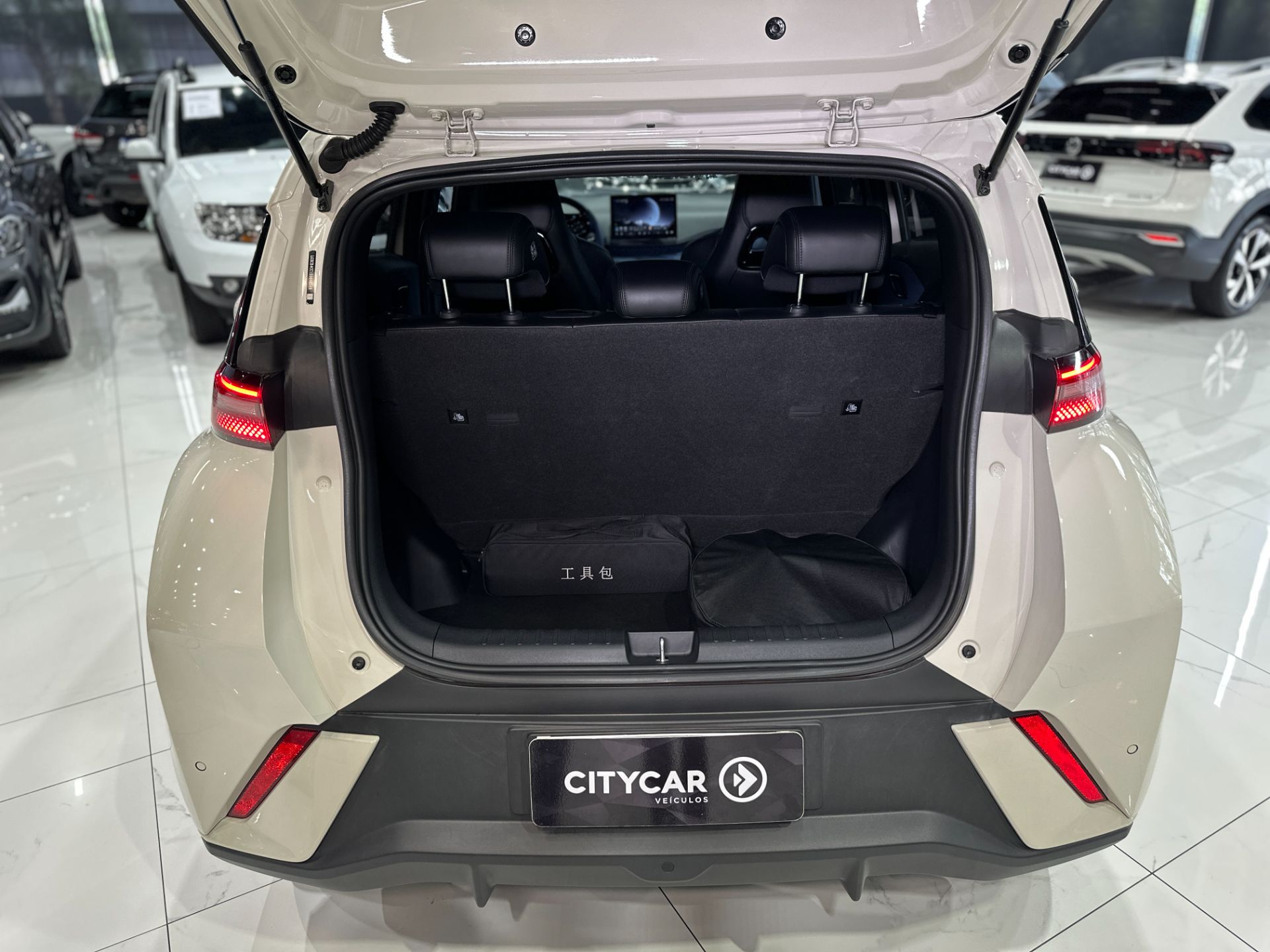 BYD DOLPHIN MINI GS 5 LUGARES