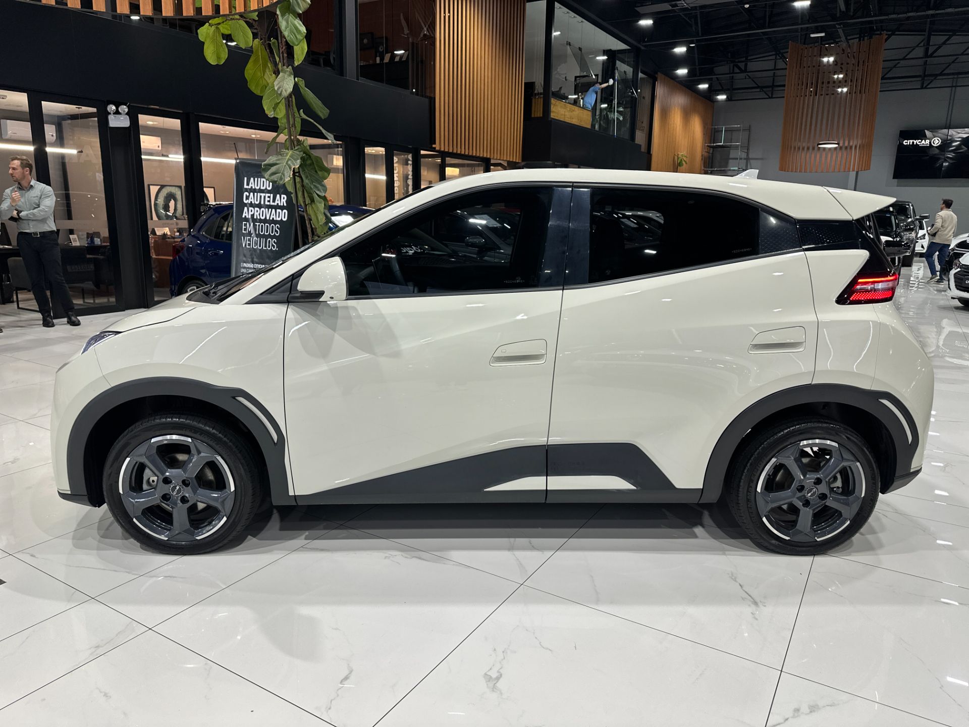BYD DOLPHIN MINI GS 5 LUGARES