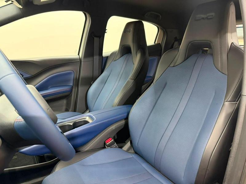 BYD Dolphin Mini Gs (elétrico) - foto 15