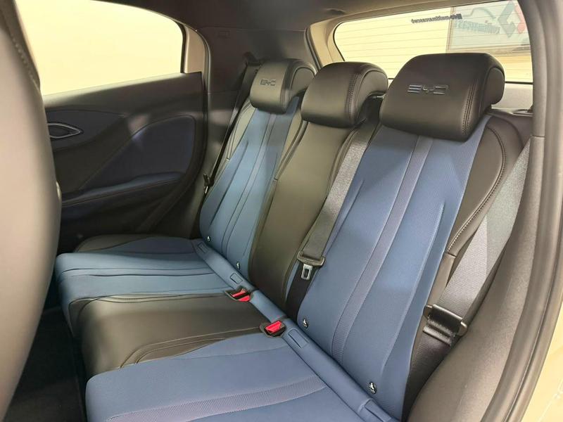 BYD Dolphin Mini Gs (elétrico) - foto 16