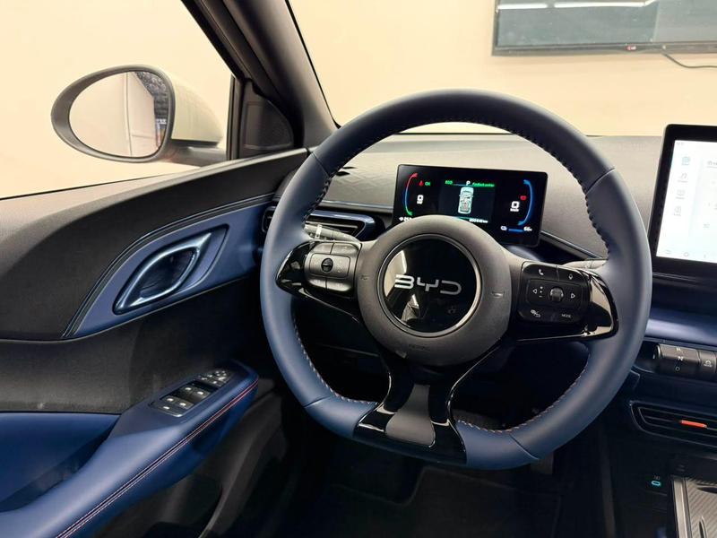 BYD Dolphin Mini Gs (elétrico) - foto 10