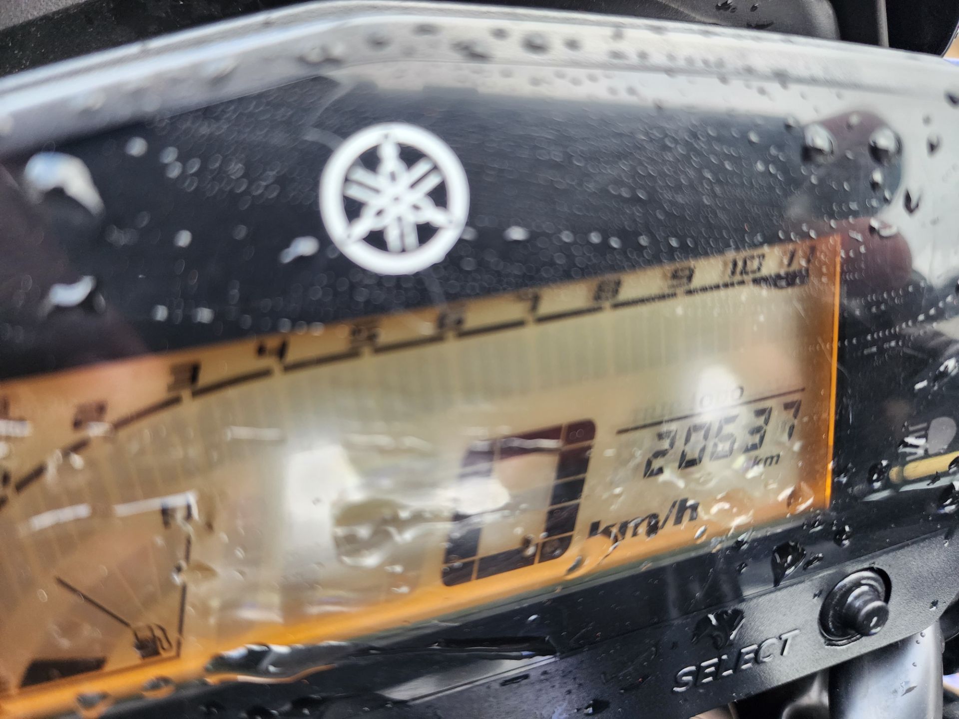 YAMAHA fz25 fazer