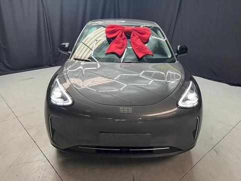 GEELY GEELY EX2 PRO