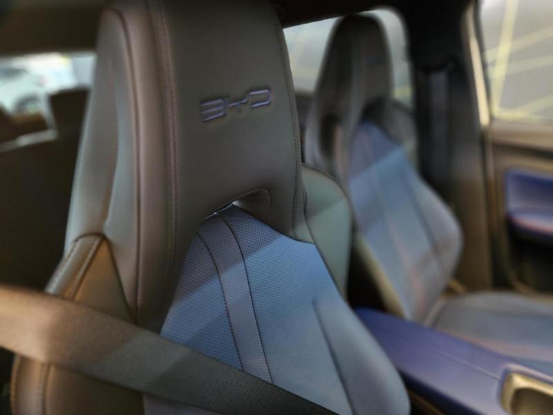 BYD Dolphin Mini Gs (elétrico) - foto 9
