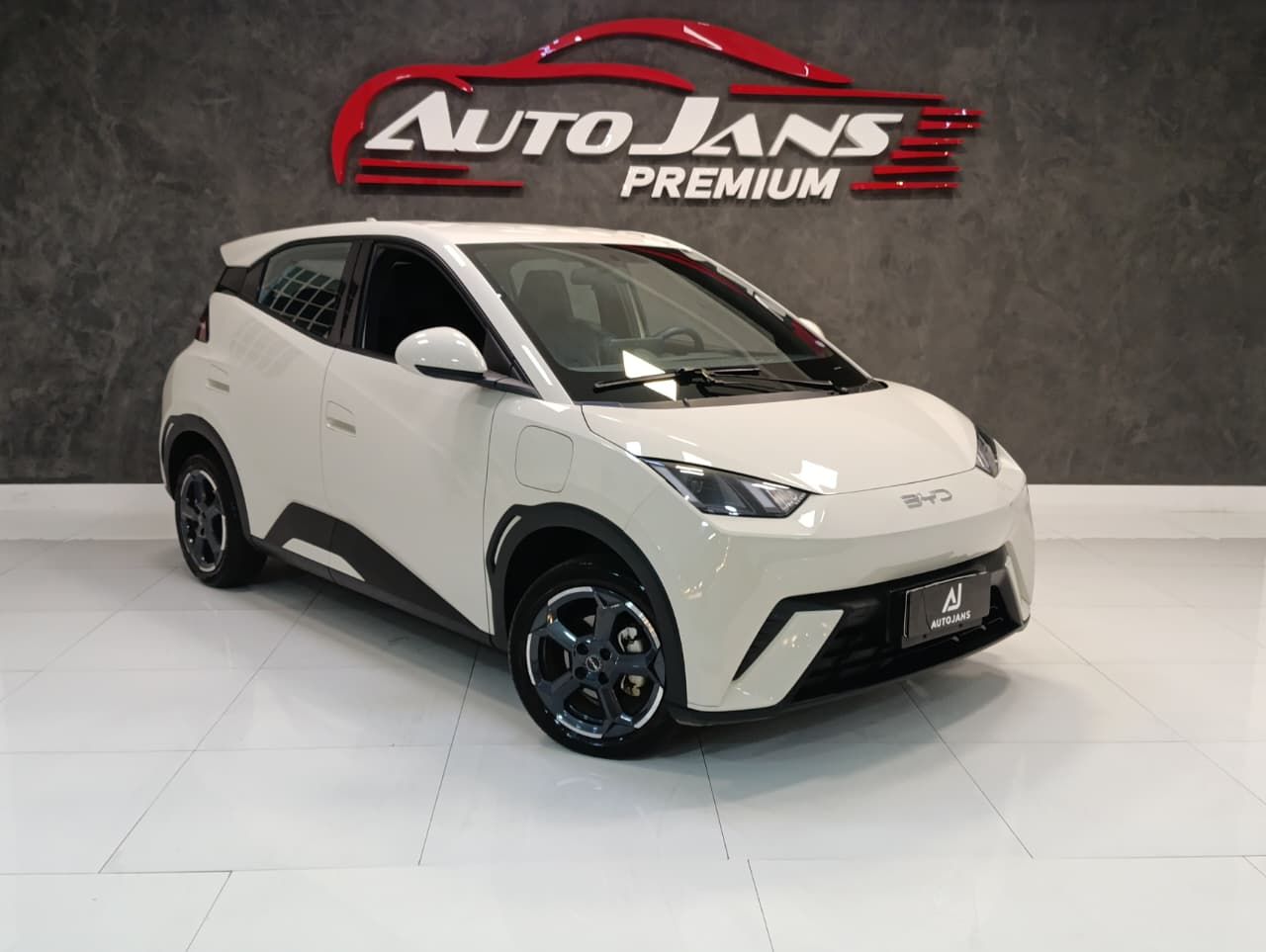 byd dolphin mini gs ev 2025