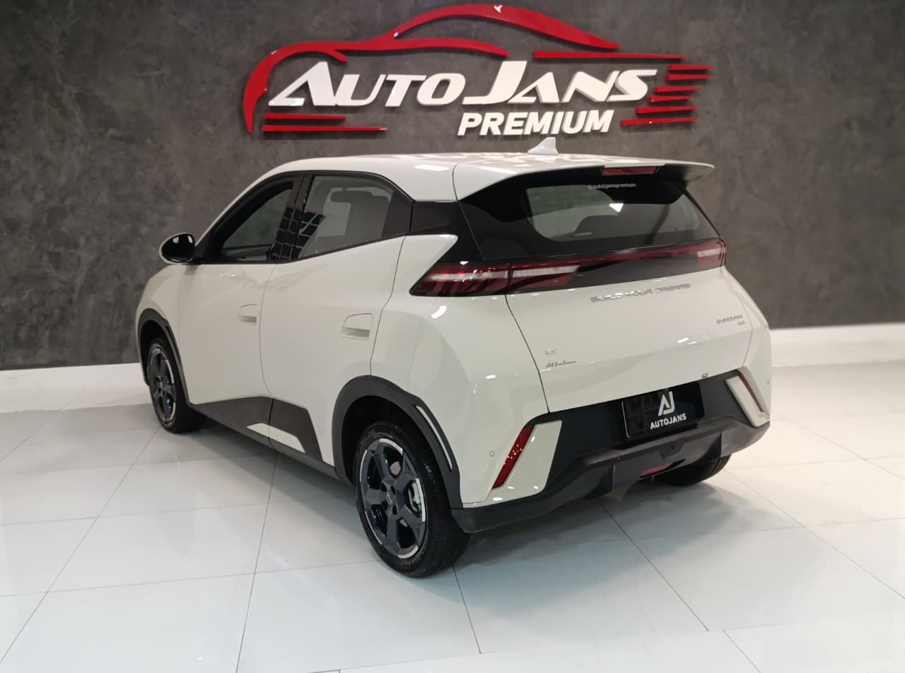 byd dolphin mini gs ev 2025