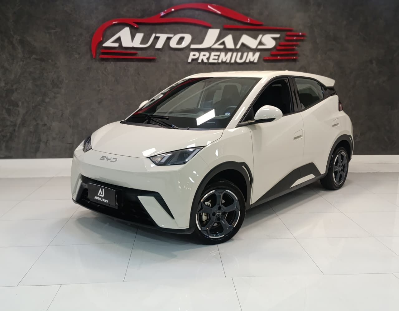 byd dolphin mini gs ev 2025