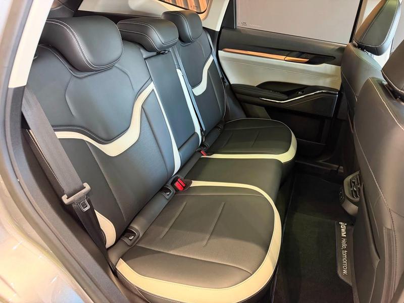 GWM Haval H6 PHEV 19 - foto 17
