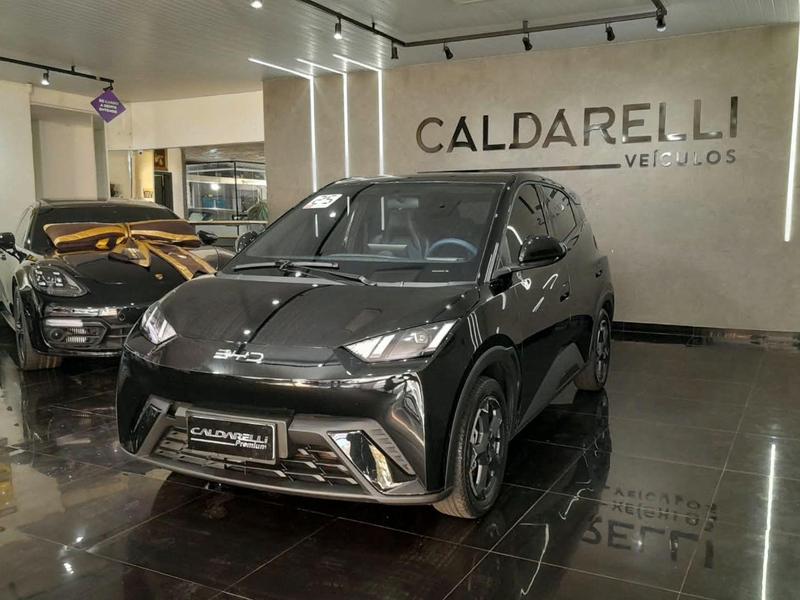 BYD Dolphin Mini 2025 à venda