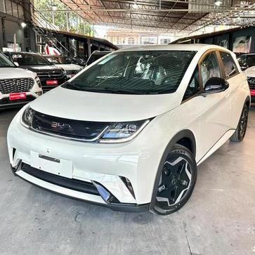 BYD DOLPHIN GS