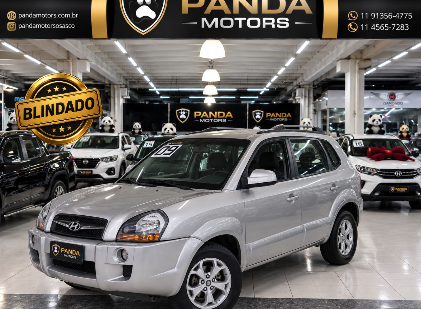 foto do veículo Hyundai Tucson  hyundai tucson gl 20l 2009