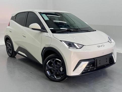 BYD DOLPHIN MINI GS
