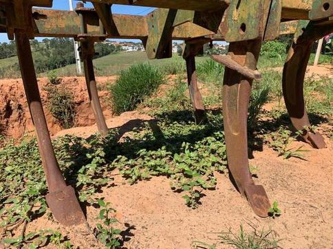 TATU MARCHESAN SUBSOLADOR 1987