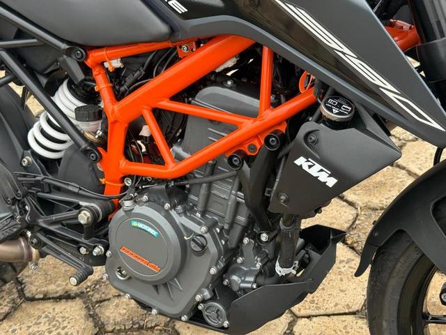 KTM 390 DUKE 2024