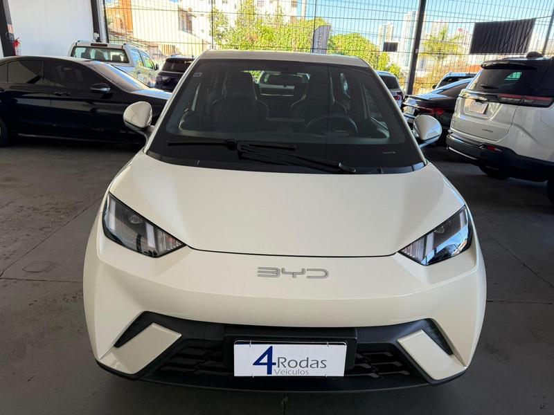 BYD DOLPHIN MINI