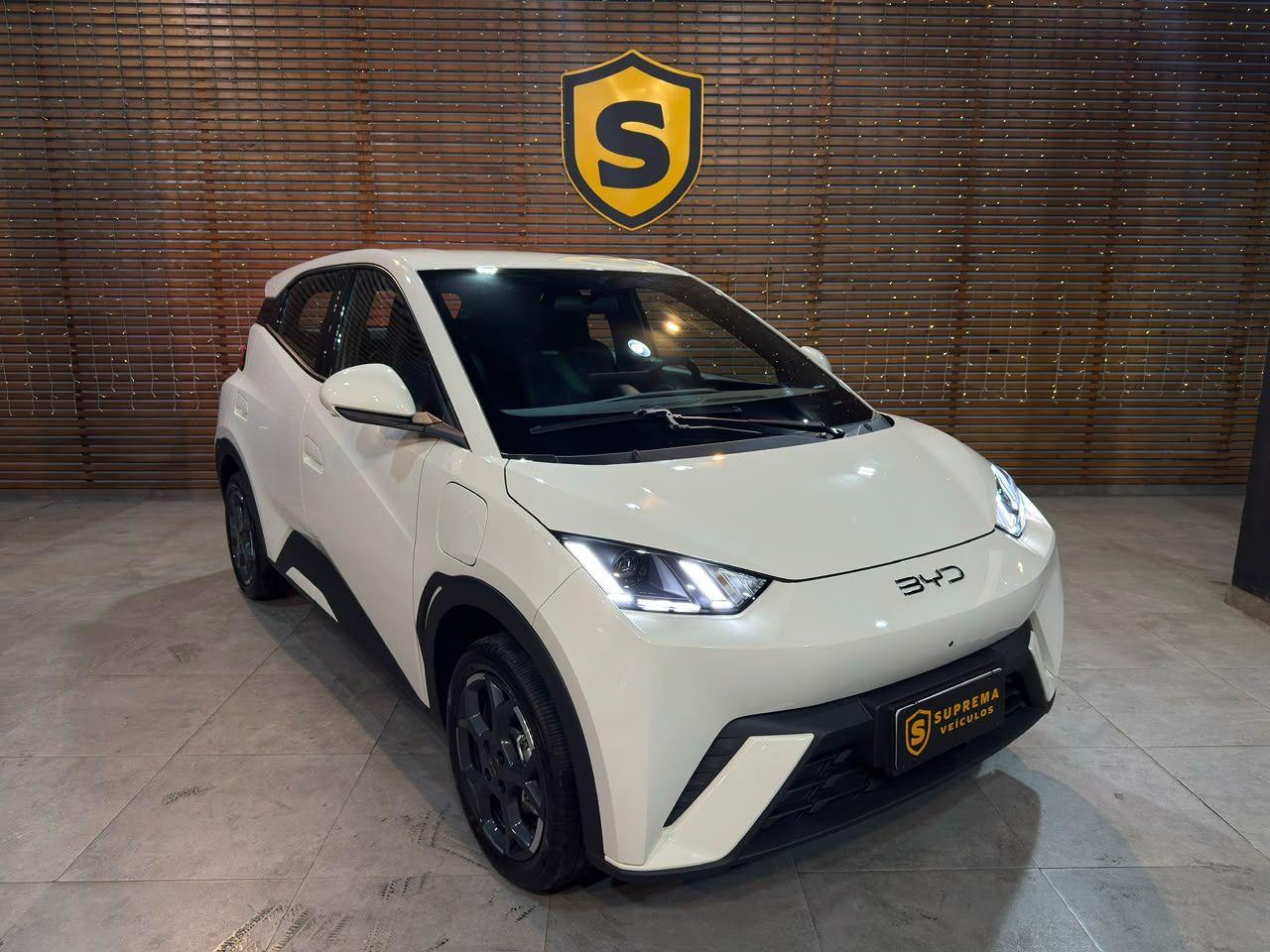 BYD DOLPHIN 2027