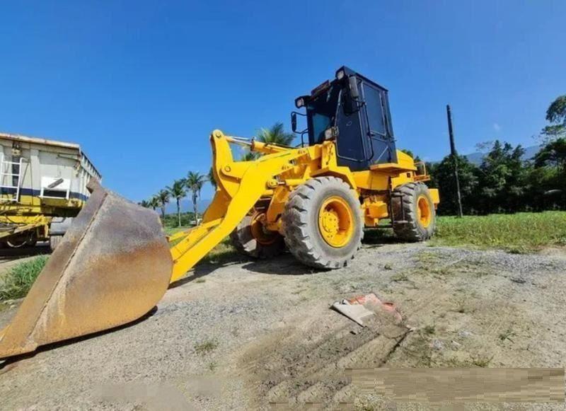 LIUGONG P� CARREGADEIRA 816
